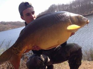 Mirror Carp