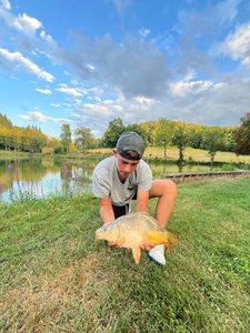 Mirror Carp