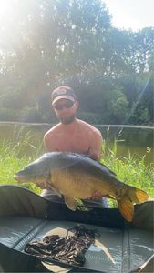 Mirror Carp