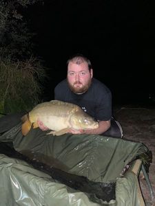 Mirror Carp