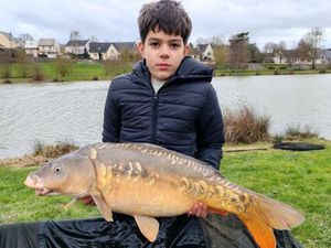 Mirror Carp