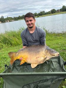 Mirror Carp