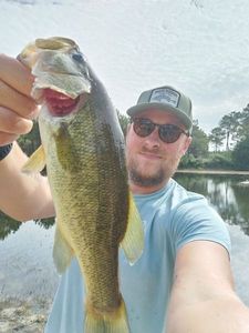 Largemouth Bass