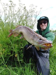 Northern Pike