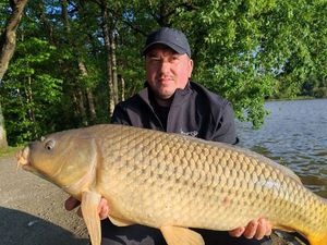 Common Carp
