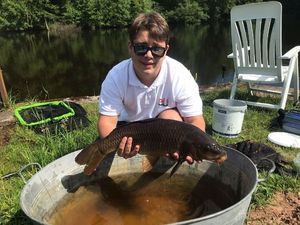Mirror Carp