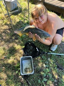 Mirror Carp