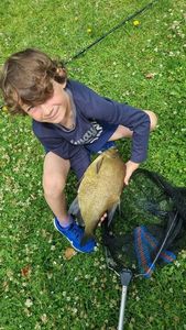 Common Bream