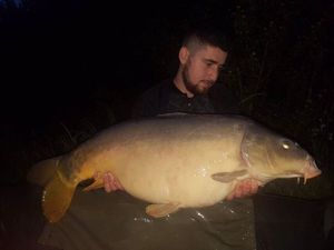 Mirror Carp