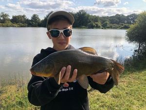 Tench