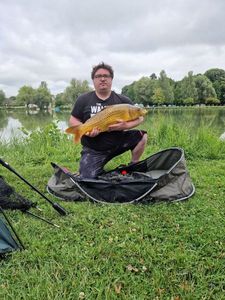 Common Carp