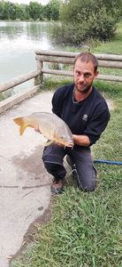 Common Carp