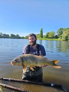 Common Carp