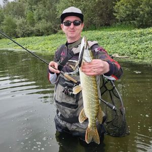 Northern Pike