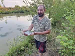 Common Bream