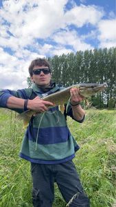 Northern Pike