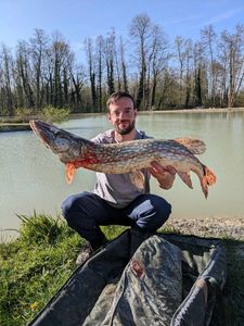 Northern Pike