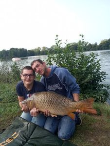 Common Carp