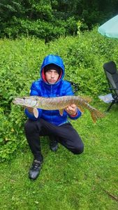Northern Pike
