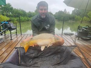 Mirror Carp