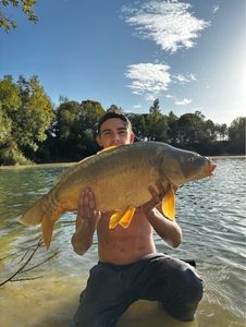 Leather Carp