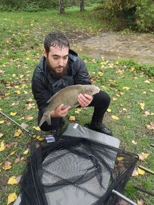 Common Bream