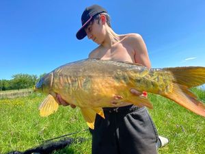 Mirror Carp