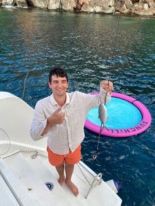 Pacific Crevalle Jack