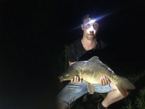 Mirror Carp