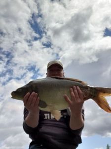 Leather Carp