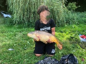 Mirror Carp