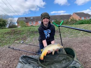 Common Carp