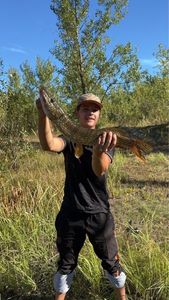 Northern Pike