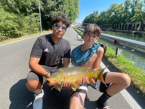 Leather Carp