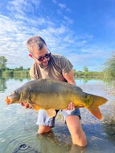 Mirror Carp