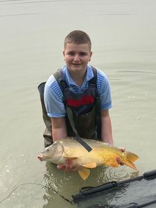 Mirror Carp