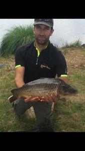Common Carp