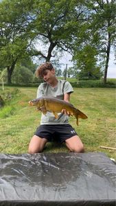 Leather Carp