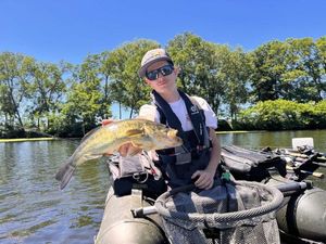 Largemouth Bass