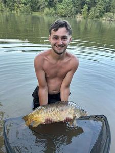 Mirror Carp