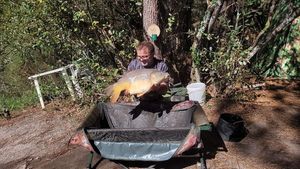 Mirror Carp
