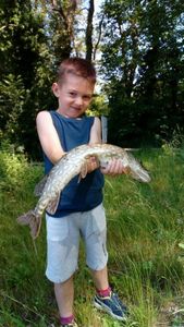 Northern Pike