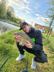 Crucian Carp