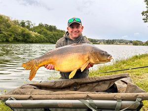 Mirror Carp