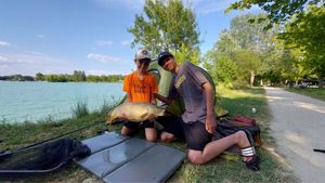 Mirror Carp
