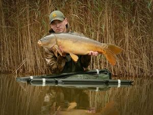 Mirror Carp