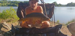 Mirror Carp