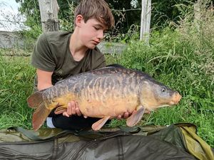 Mirror Carp