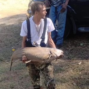 Blue Catfish
