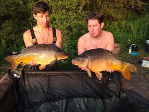 Mirror Carp